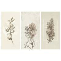 Tableau déco Herbarium (3 éléments)