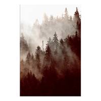 Wandbild Brown Forest