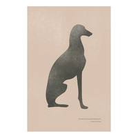 Wandbild Calm Greyhound