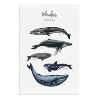 Quadro Whales