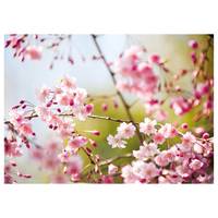 Canvas Cherry Blossoms