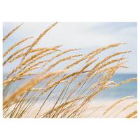 Leinwandbild Strand Dune Grass
