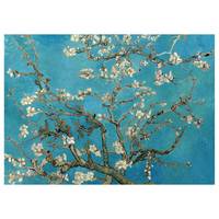 Canvas Almond Blossom