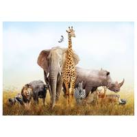 Impression sur toile African Animals