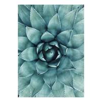 Canvas Agave Floral