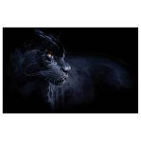Leinwandbild Tiere Black Panther