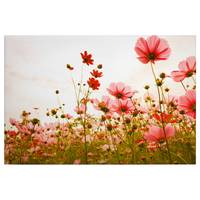 Wandbild Flower Meadow