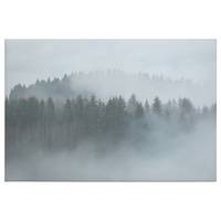 Impression sur toile Misty Forest