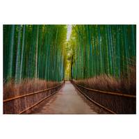 Leinwandbild Bambus Walk