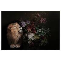 Canvas Lion Wildlife