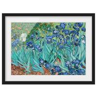 Poster con cornice Van Gogh Iris II