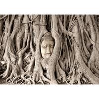 Vlies Fototapete Buddhas Tree