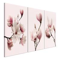 Afbeelding Spring Magnolias (3-delig)