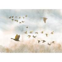 Papier peint intissé Golden Geese