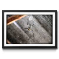 Tableau déco Beauty of Spider