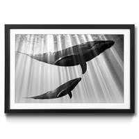 Ingelijste afbeelding Whales