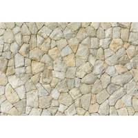 Fotomurale Natural Stone Wall