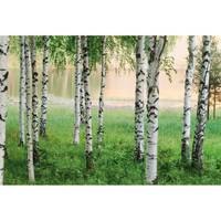 Papier peint Nordic Forest