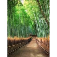 Fotobehang Bamboe Pad