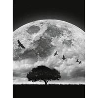 Papier peint Lune et oiseaux