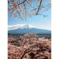 Fotomurale Mount Fuji