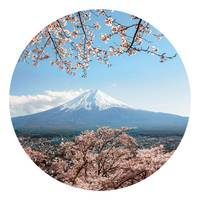 Papier peint Mount Fuji Japan