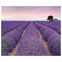 Fotomurale Provence