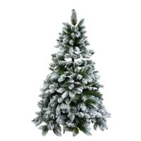 Sapin de Noël TREE OF THE MONTH
