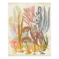 Papier peint intissé Catchy Corals