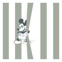Afbeelding Mickey Be Yourself