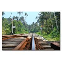 Quadro Srilankan Rails