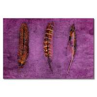 Quadro Feathers and Purple
