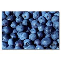 Impression sur toile Blueberries