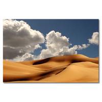 Leinwandbild Sand Dunes