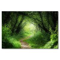 Impression sur toile Way In Deep Forest