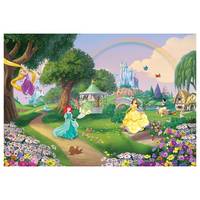 Papier peint Disney Princess Rainbow