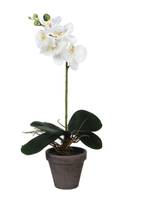 Plante artificielle Orchidée