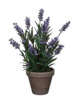 Plante artificielle Lavendel