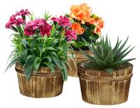 Holz Blumentopf im 3er Set