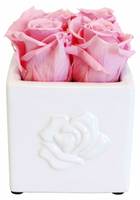 Infinity Rosenarrangement Rose eckig
