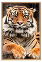 Tableau mural mat encadré tigre