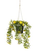 Kunstliche Hängepflanze Gänseblümchen