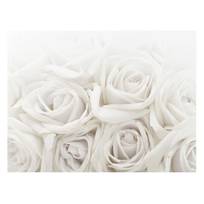 Bild Weiße Rosen