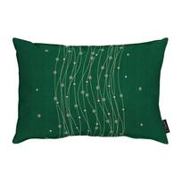 Coussin 1504