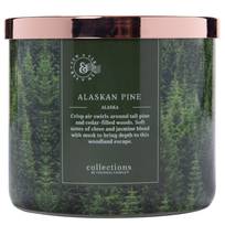 Bougie parfumée Alaskan Pine