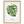 Bild Aquarell Botanik Monstera IV