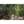 Tableau sur verre synthétique jungle 80x