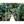 Triptyque sur toile ponton tropical 125x