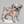 Tableau chien carlin fleuri 50 x 50 cm