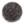 Tapis Ovium
